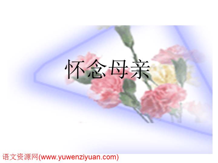 《怀念母亲》ppt课件1