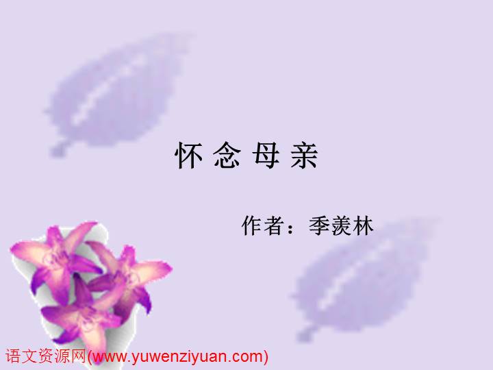 《怀念母亲》ppt课件3