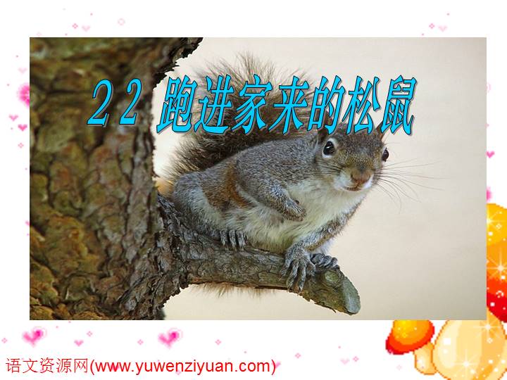 《跑进家来的松鼠》ppt课件6